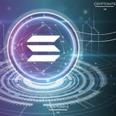 Is Solana’s Rally Sustainable? A Deep Dive into the Market’s Next Potential Leader