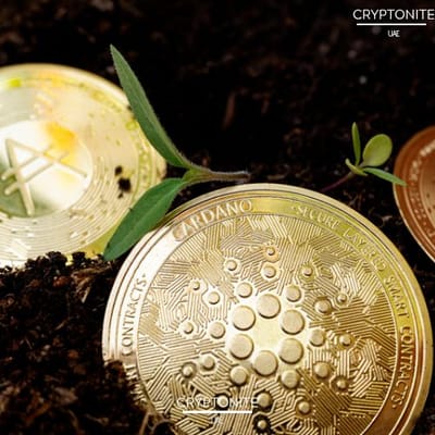 Cardano (ADA) Poised for Potential Rally Amid Favorable Market Conditions