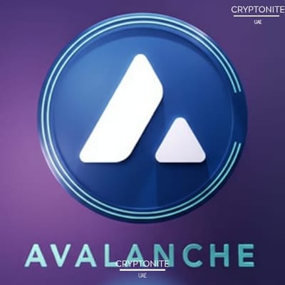 Avalanche Foundation Reportedly Seeks to Establish Two Crypto Treasury Companies in the U.S.