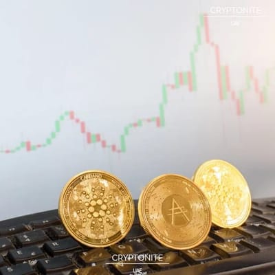 68ecb277e8d0a