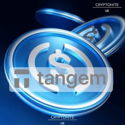 Tangem Launches ‘Tangem Pay’: Connecting Hardware Wallets to Global Visa Spending with USDC
