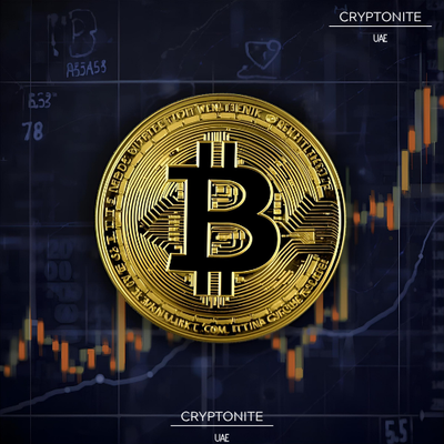 Bitcoin’s Six-Month $100K Streak: On-Chain Data Hints at Stabilization After Volatility