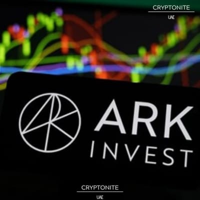 Ark Invest Buys $30.5 Million in Circle Shares as Stock Plunges Despite Strong Earnings