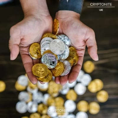 Altcoin Mystery: Prices Plunge Despite Record-Breaking ETF Launches