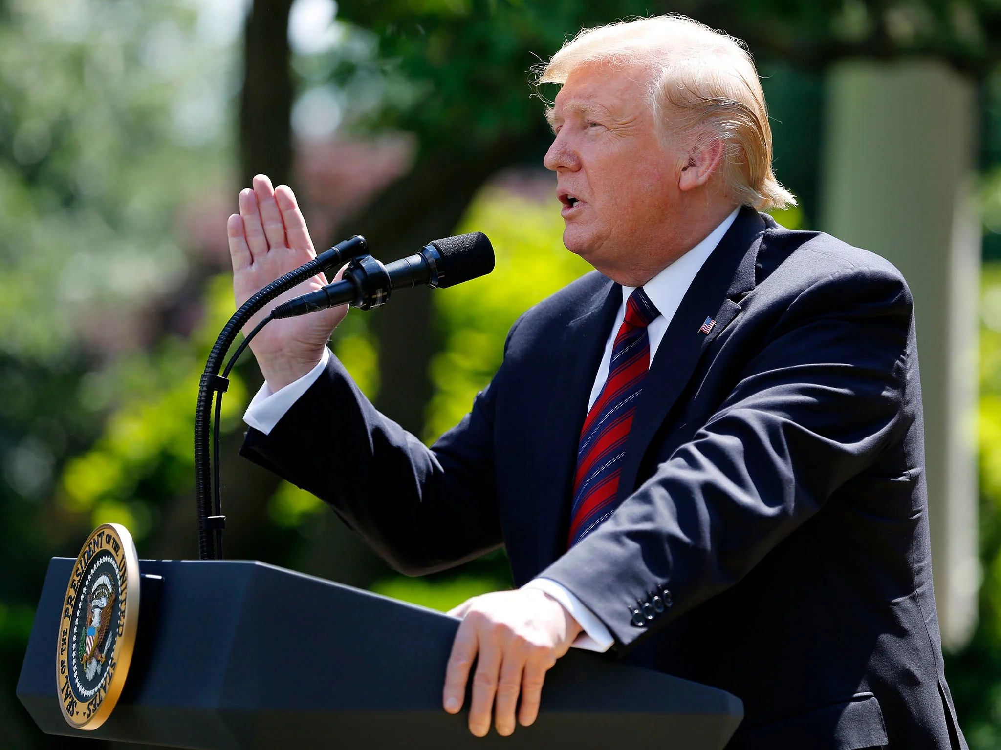 Trump gives speeches in the Rose Garden despite cold | PC- The Independent