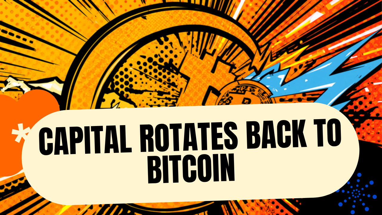 Market maturation: capital rotates back to Bitcoin and Ethereum as uncertainty rises