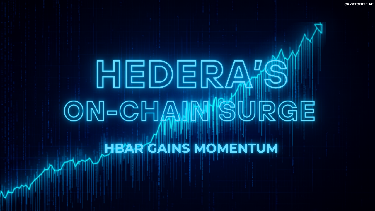 Hedera network growth as on-chain metrics surge and HBAR gains momentum